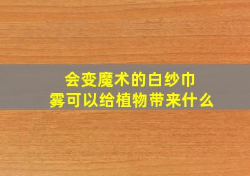 会变魔术的白纱巾 雾可以给植物带来什么